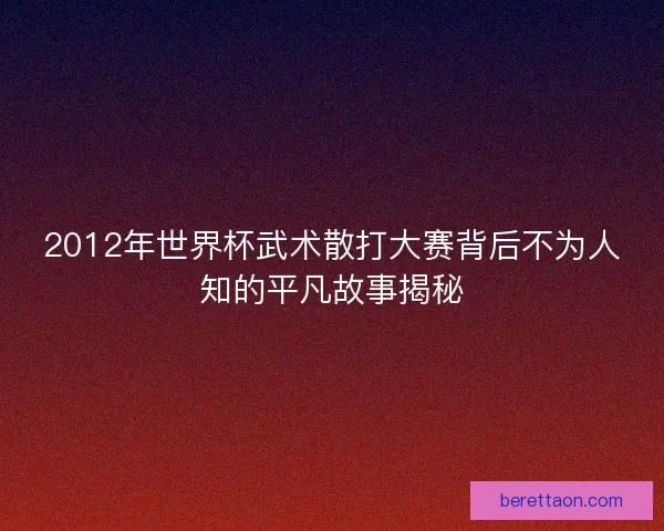 2012年世界杯武术散打大赛背后不为人知的平凡故事揭秘