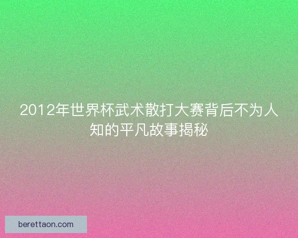 2012年世界杯武术散打大赛背后不为人知的平凡故事揭秘